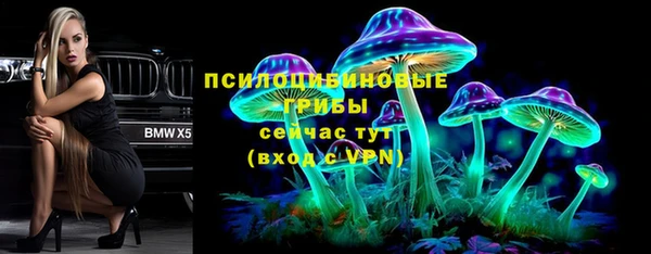гашик Верхний Тагил