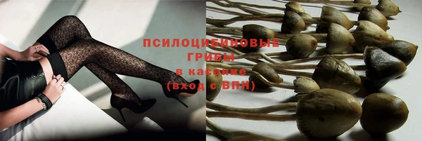 гашик Верхний Тагил