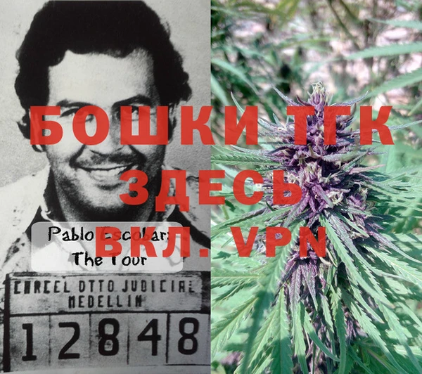 a pvp Россошь