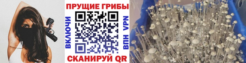 Псилоцибиновые грибы ЛСД Мценск